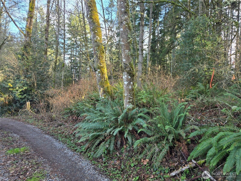 233 State Highway 3 NW