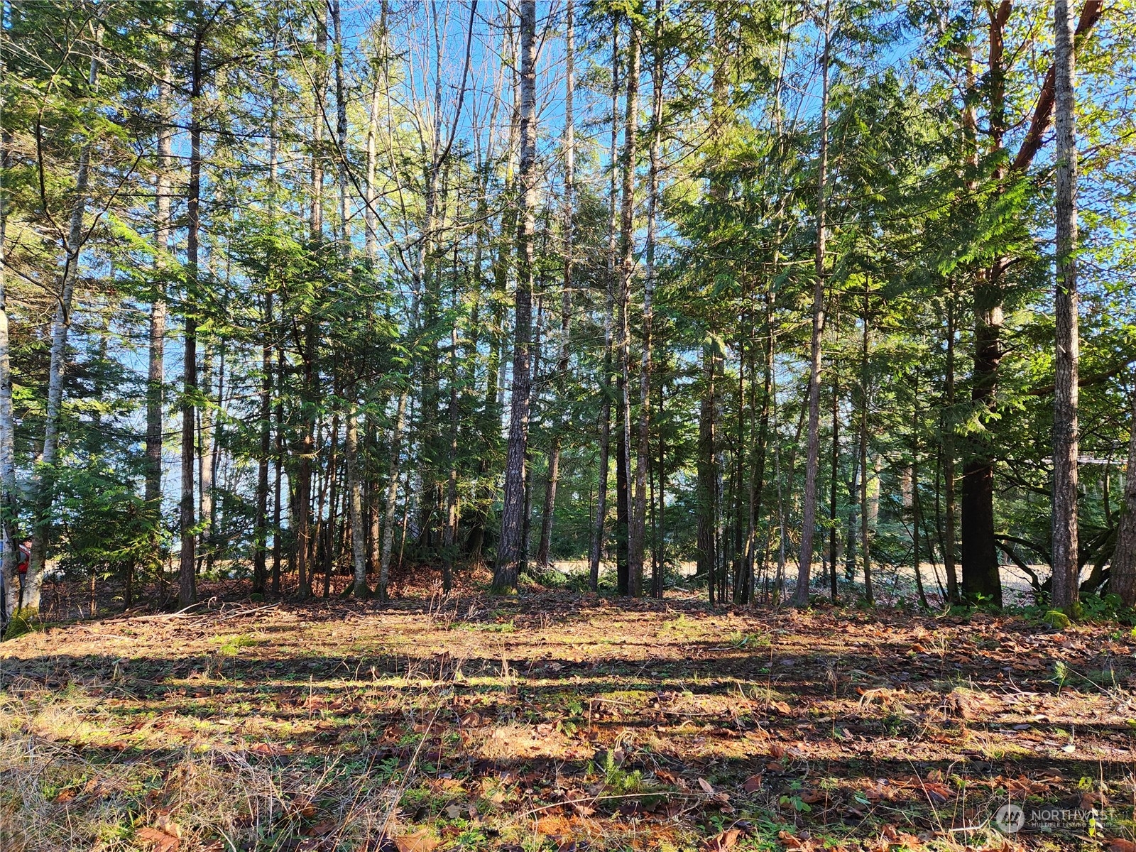 0 Archery Lane