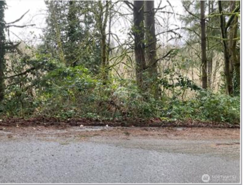 Photo of 0 NE 179th Street, Woodinville, WA 98072 (MLS # 2386533)
