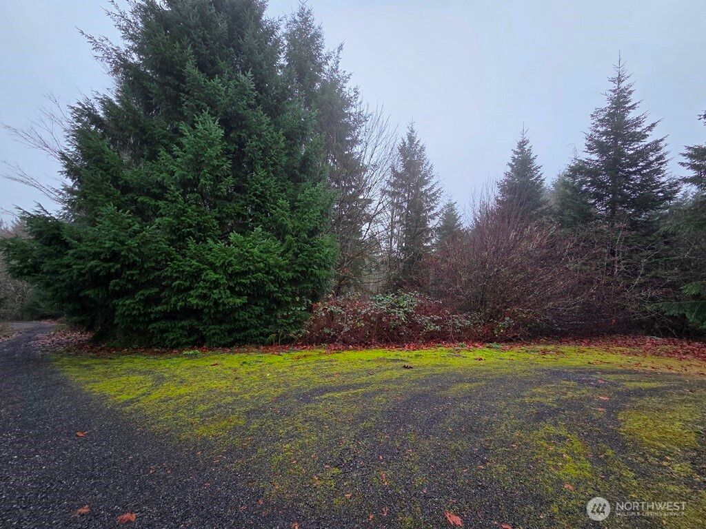 Photo of 176 White Pine Road, Castle Rock, WA 98611 (MLS # 2464740)