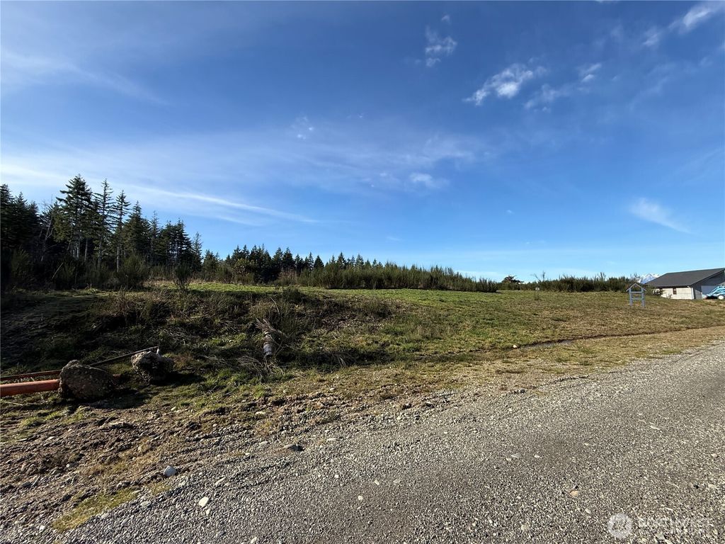 Photo of 1 Parcel E Johnson Ridge Road, Belfair, WA 98528 (MLS # 2480739)