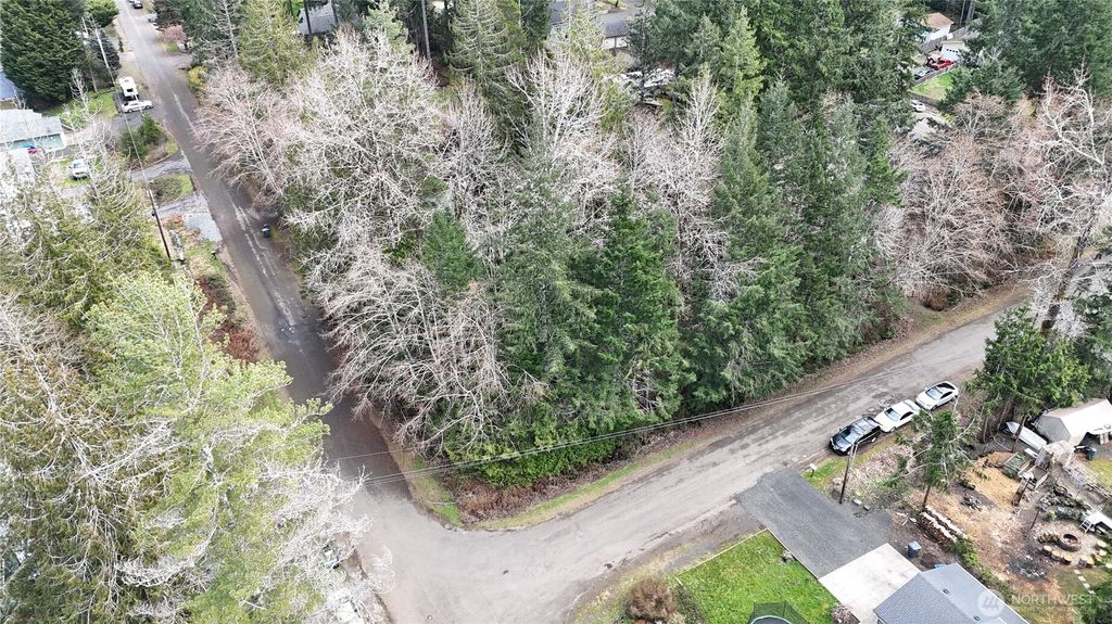 Photo of 321 E Ballycastle Way, Shelton, WA 98584 (MLS # 2502795)