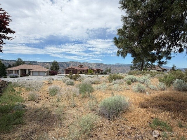 Photo of 601 Desert Canyon Boulevard, Orondo, WA 98843 (MLS # 2545123)
