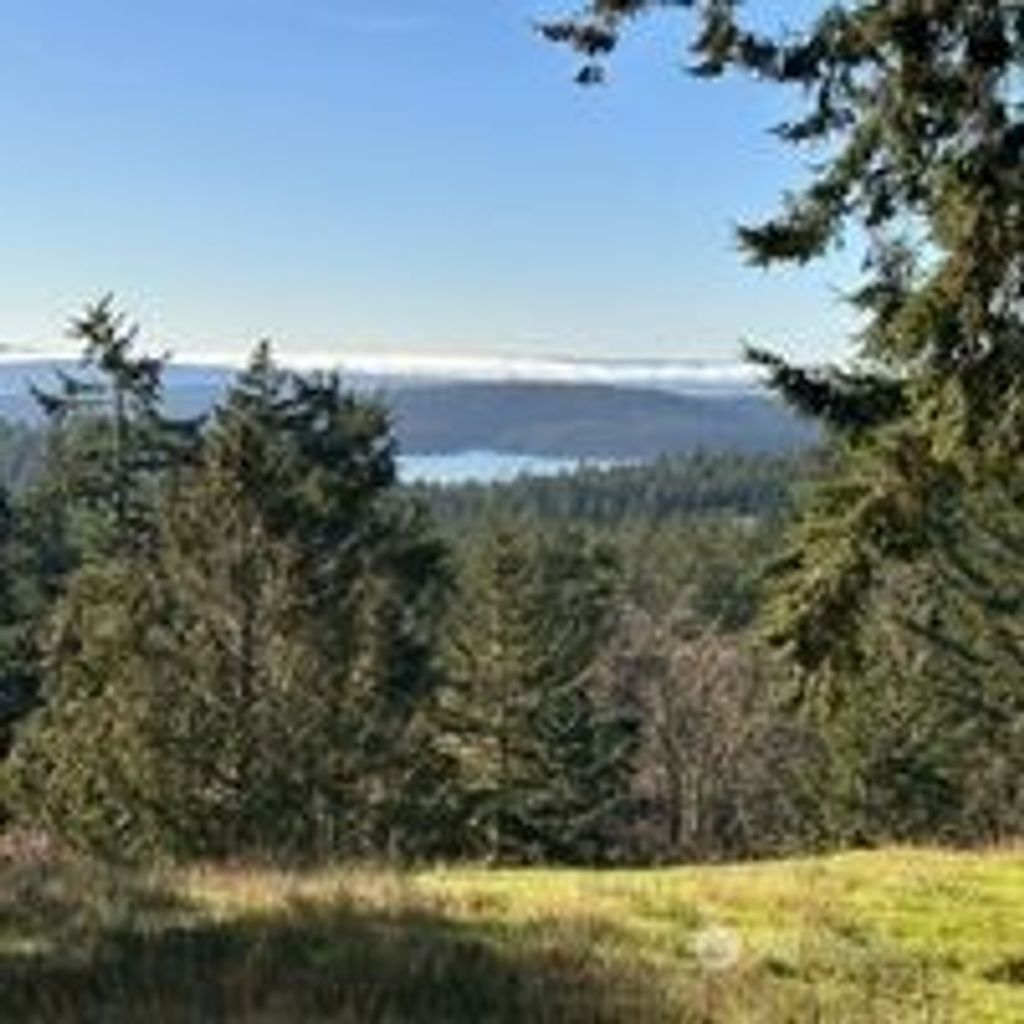 Photo of 1158 VICTORIAN VALLEY Drive, Orcas Island, WA 98245 (MLS # 2477782)