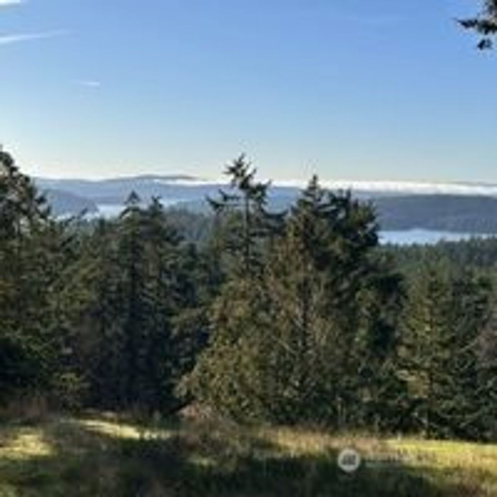 Photo of 1158 VICTORIAN VALLEY Drive, Orcas Island, WA 98245 (MLS # 2477782)