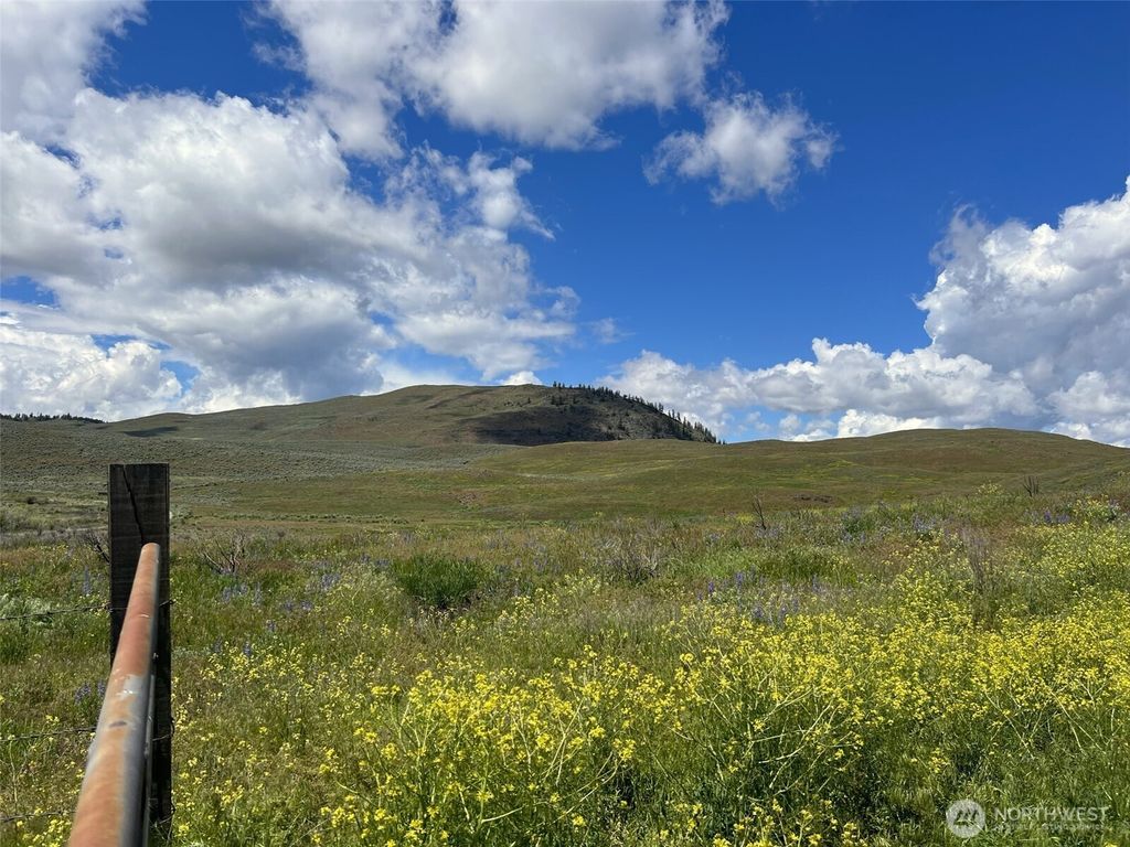 Photo of 0 TBD Ellemeham Mountain Road, Oroville, WA 98844 (MLS # 2464959)