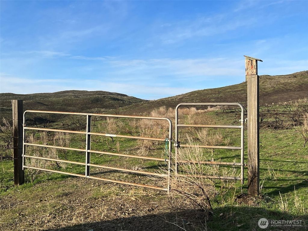 Photo of 0 TBD Ellemeham Mountain Road, Oroville, WA 98844 (MLS # 2464959)