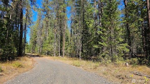 Photo of 385 X Agar Road, Loon Lake, WA 99148 (MLS # 2585166)