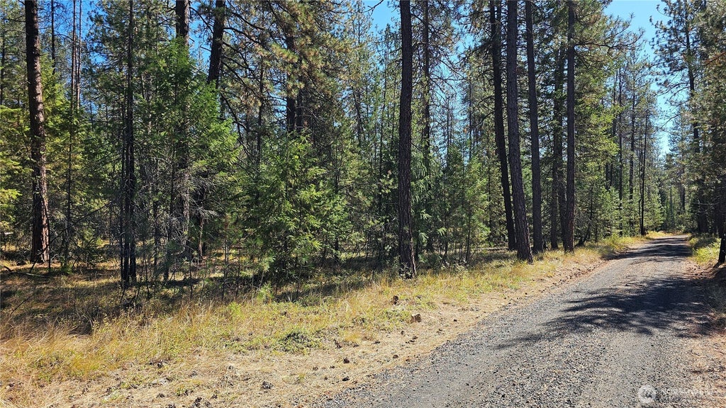 Photo of 385 X Agar Road, Loon Lake, WA 99148 (MLS # 2585166)