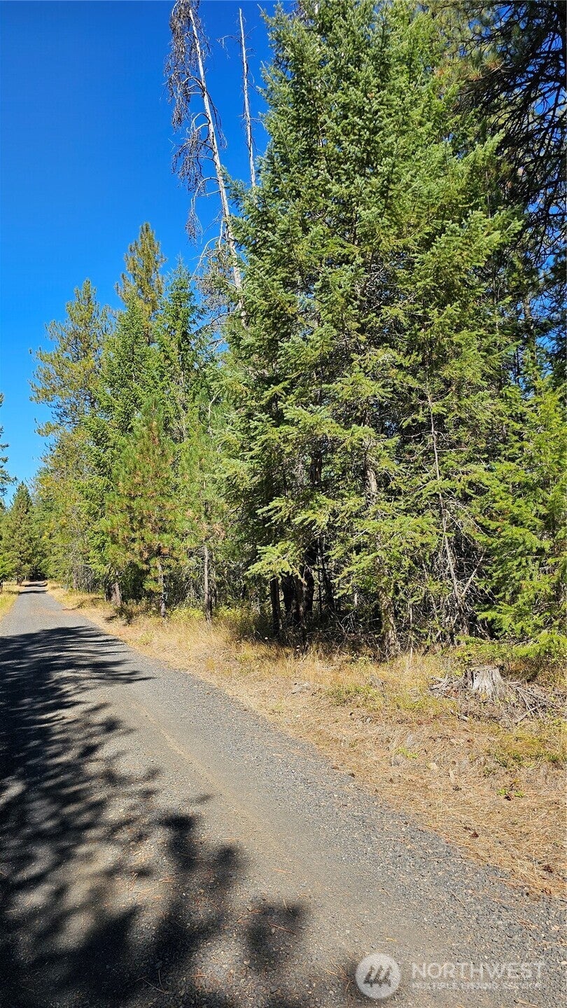 Photo of 385 X Agar Road, Loon Lake, WA 99148 (MLS # 2585166)