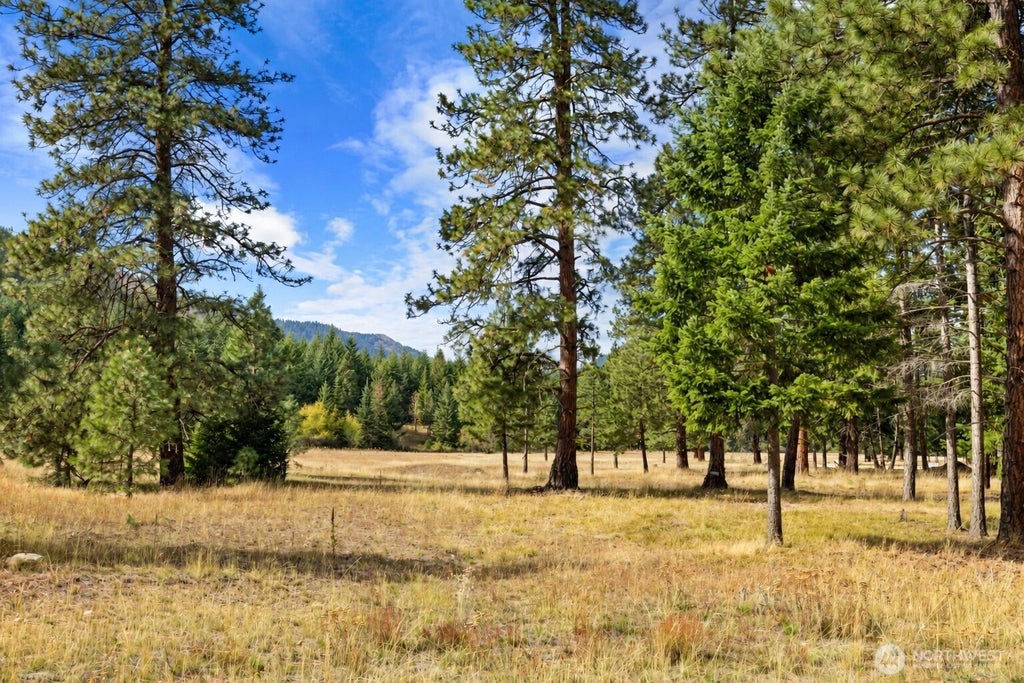 Photo of 27 Domerie Park Loop, Cle Elum, WA 98922 (MLS # 2587517)