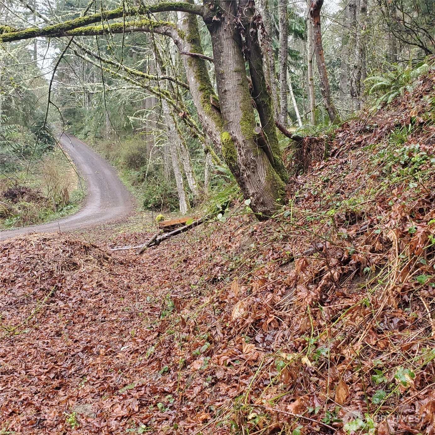 0 Old Military Road NE