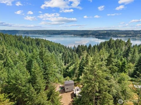 Photo of 1090 NE Patton DR, Tahuya, WA 98588 (MLS # 2542997)