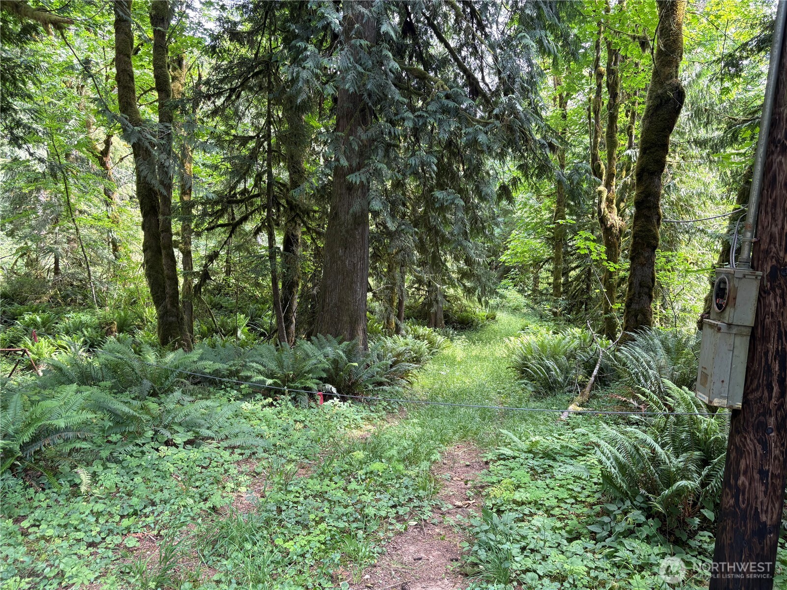 0 Pigeon Springs Road