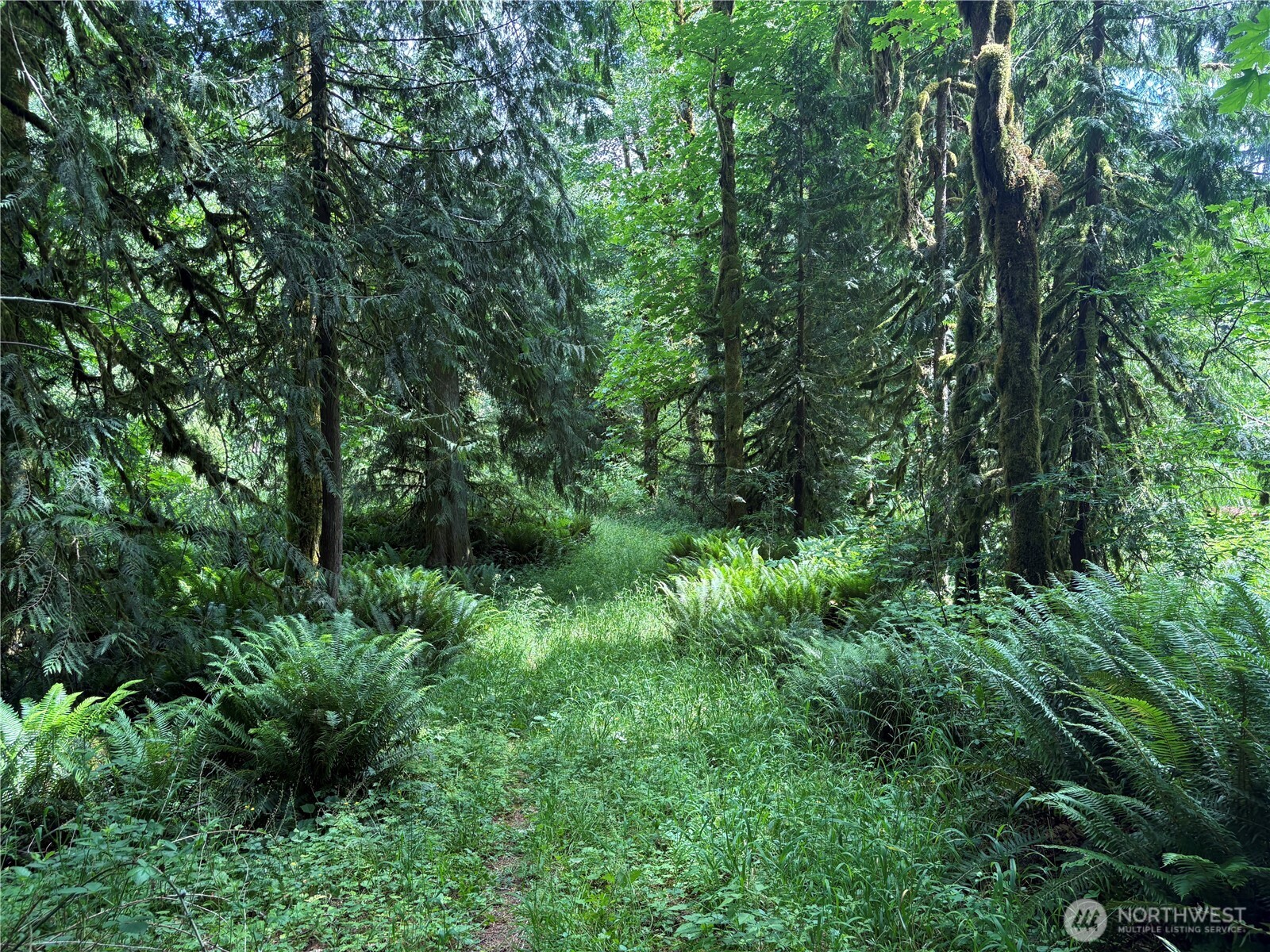 0 Pigeon Springs Road