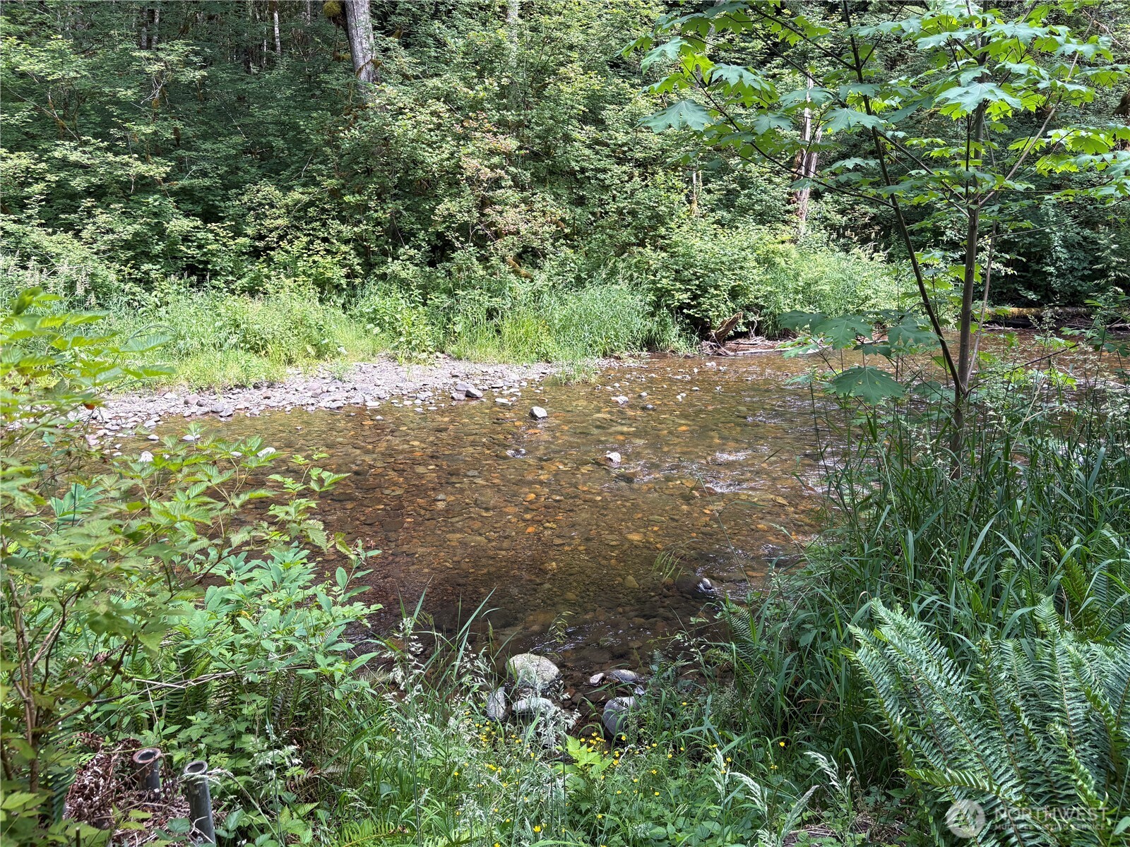 0 Pigeon Springs Road