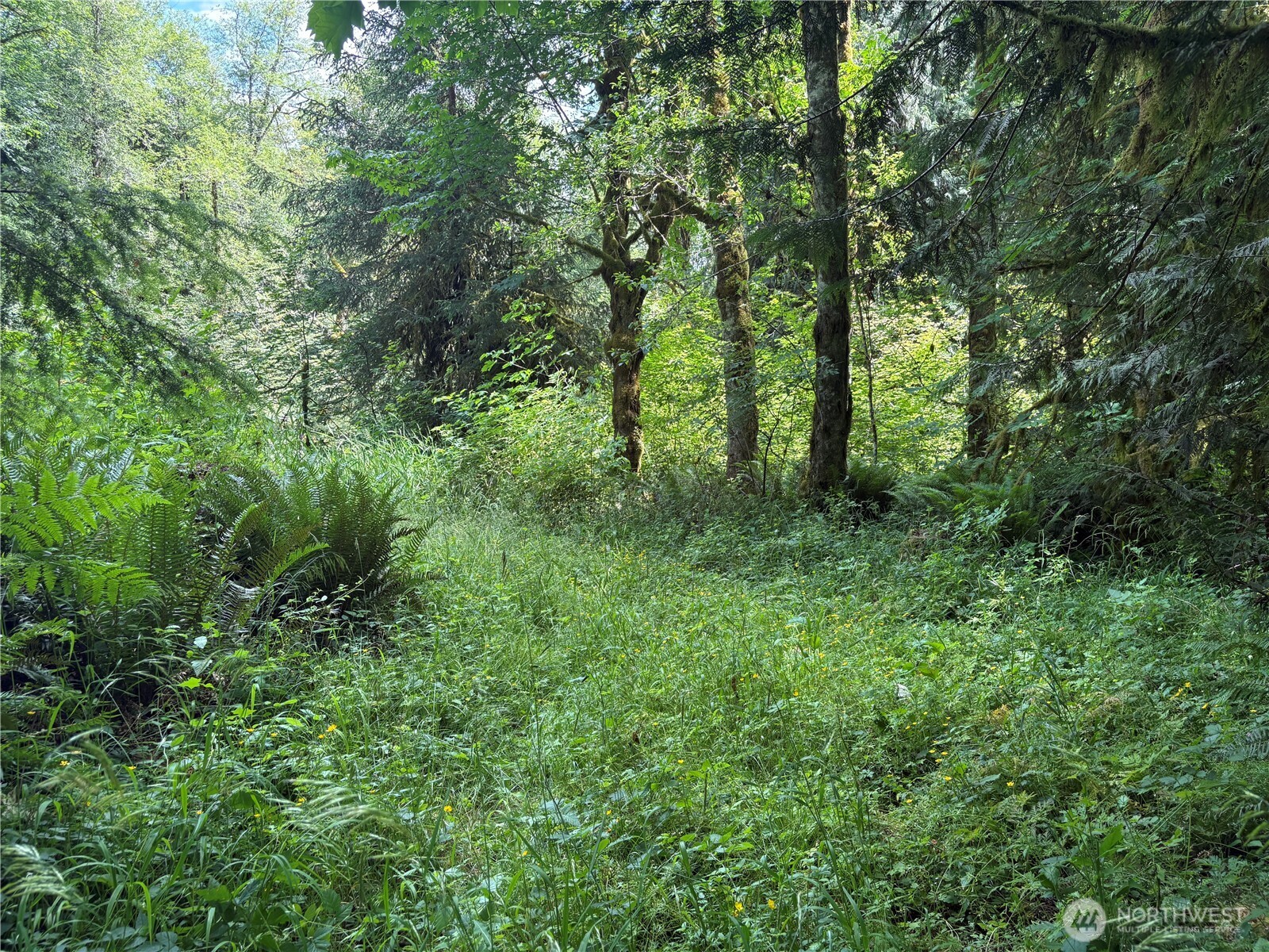 0 Pigeon Springs Road