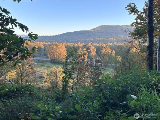 0 FERN BLUFF ROAD S, MONROE, WA 98272 - Image 25158f7e0abc512f26cf4f2cd90bc72a/1896726265