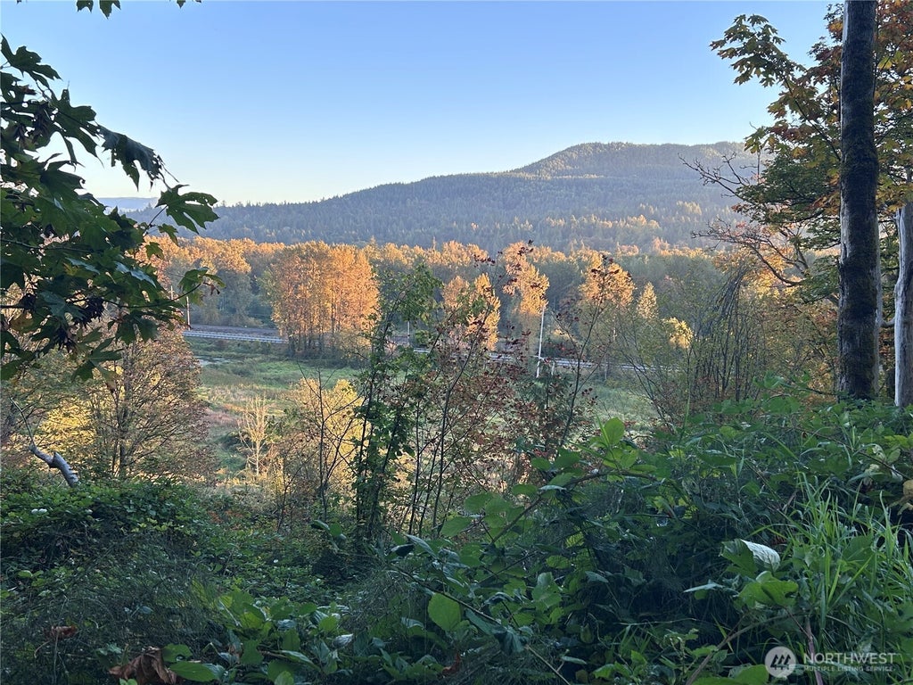 Photo of 0 Fern Bluff Road S, Monroe, WA 98272 (MLS # 2592388)