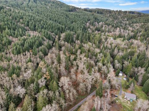 Photo of 2500 Ebey Mountain Road, Arlington, WA 98223 (MLS # 2463645)