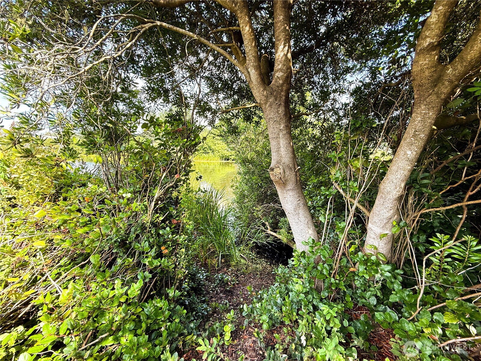 558 Point Brown Ave SE