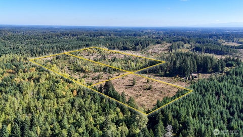 Photo of 13409 Algyer Road SE, Rainier, WA 98576 (MLS # 2583977)