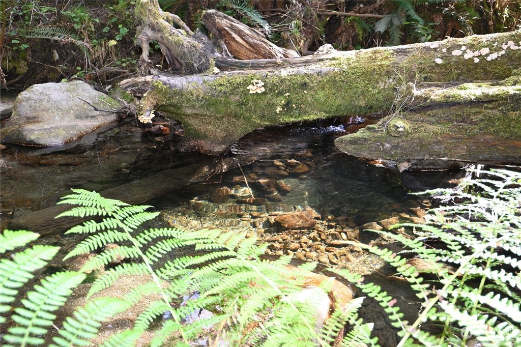 Photo of 52016 S Riverside Road, Gold Bar, WA 98251 (MLS # 2293812)