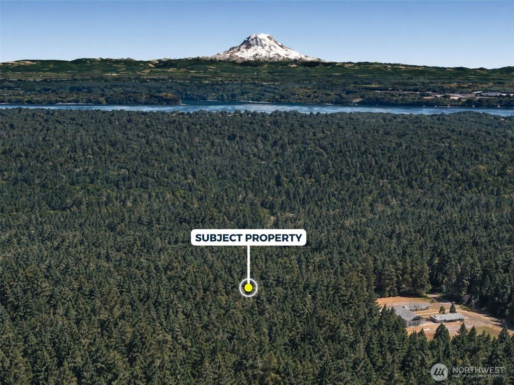 Photo of 12918 E 101st Street Ct, Anderson Island, WA 98303 (MLS # 2461711)