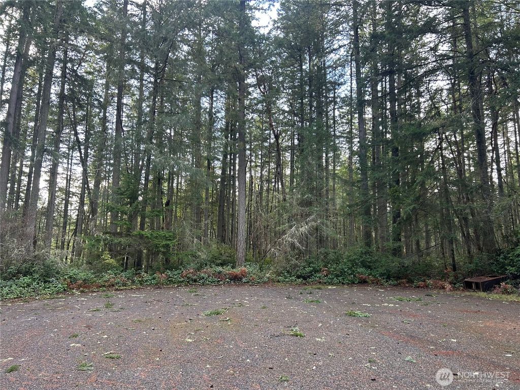 Photo of 12918 E 101st Street Ct, Anderson Island, WA 98303 (MLS # 2461711)