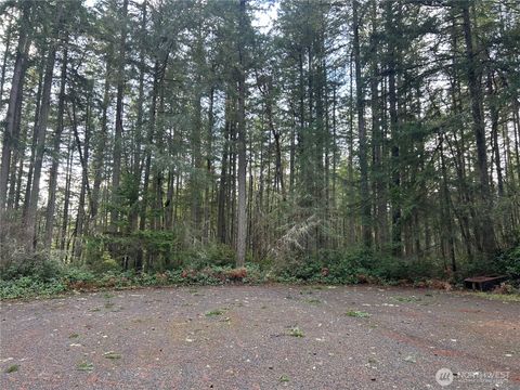 Photo of 12918 E 101st Street Ct, Anderson Island, WA 98303 (MLS # 2461711)