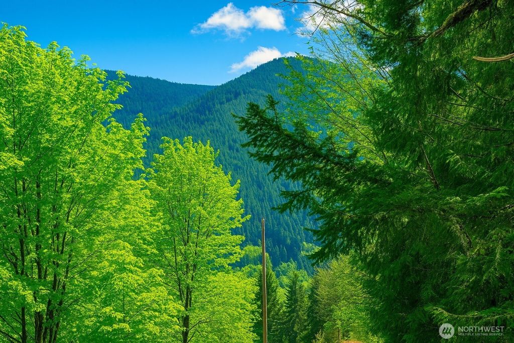 Photo of 7011 272nd Ave SE, Issaquah, WA 98027 (MLS # 2448618)