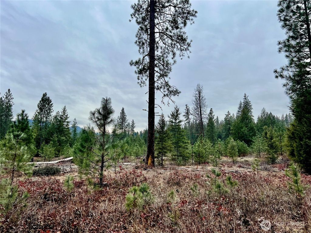 Photo of 0 40TBD Hwy 25 N, Northport, WA 99157 (MLS # 2475667)