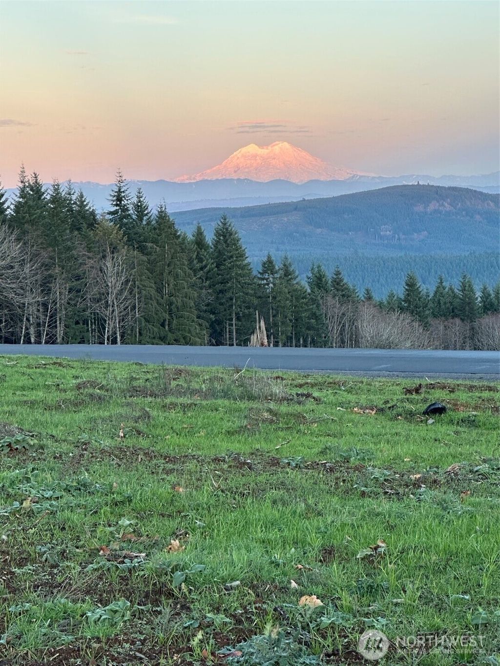 Photo of 216 Suncrest Drive, Castle Rock, WA 98611 (MLS # 2468004)