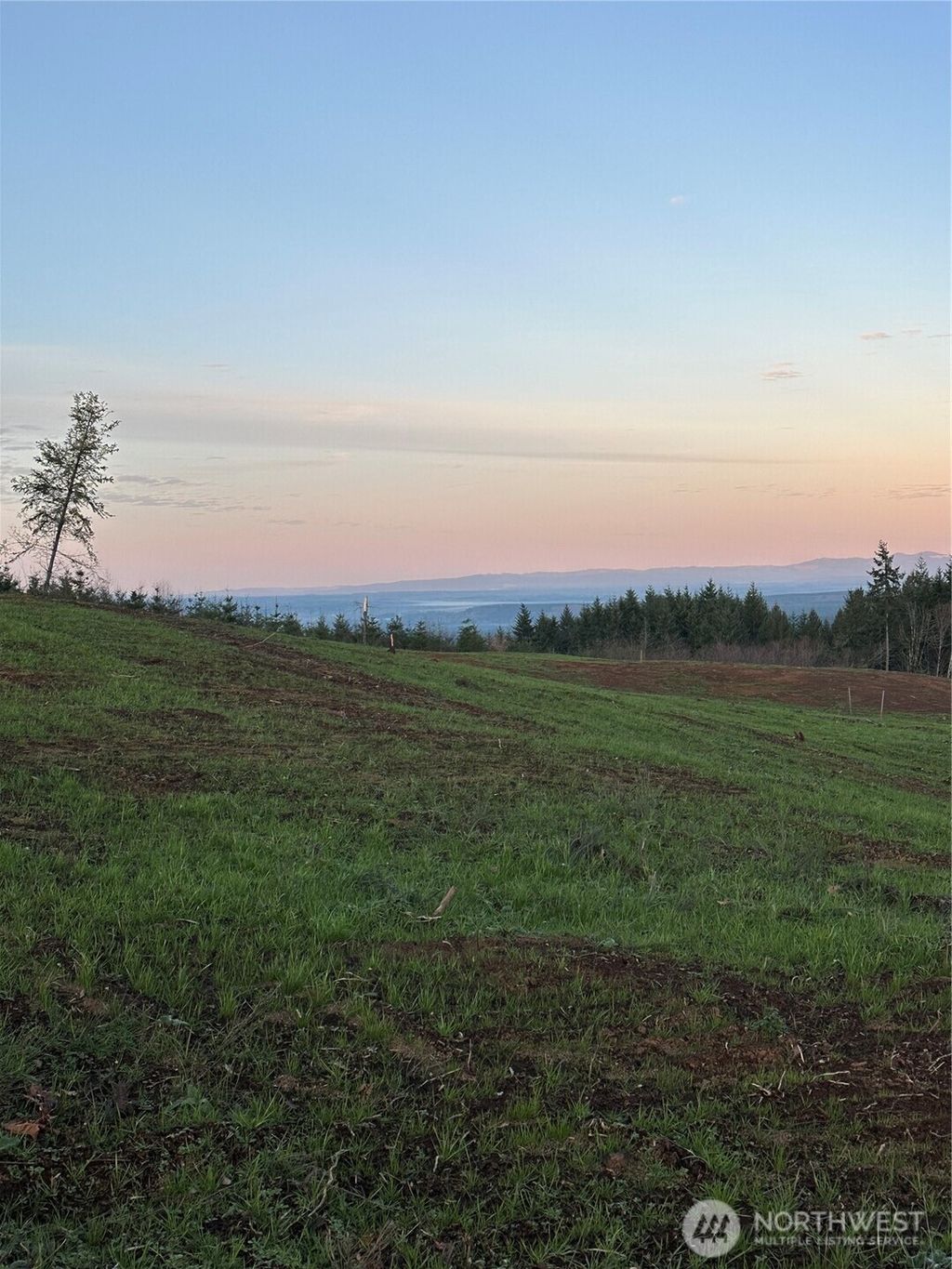 Photo of 216 Suncrest Drive, Castle Rock, WA 98611 (MLS # 2468004)