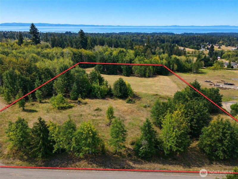 404 Black Bear Trail