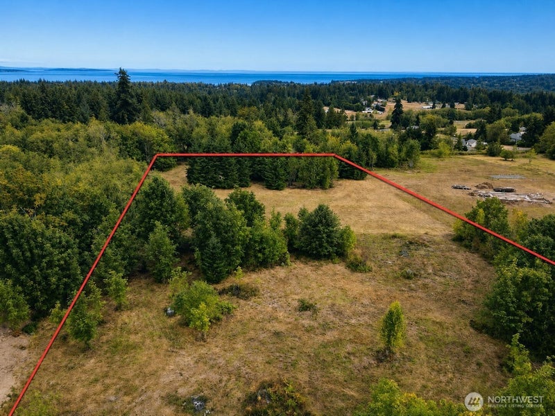 404 Black Bear Trail