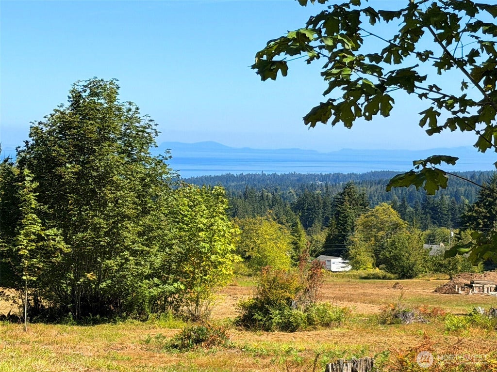 Photo of 404 Black Bear Trail, Port Angeles, WA 98362 (MLS # 2578174)