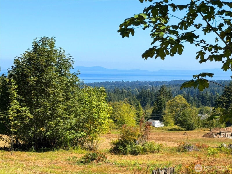 404 Black Bear Trail