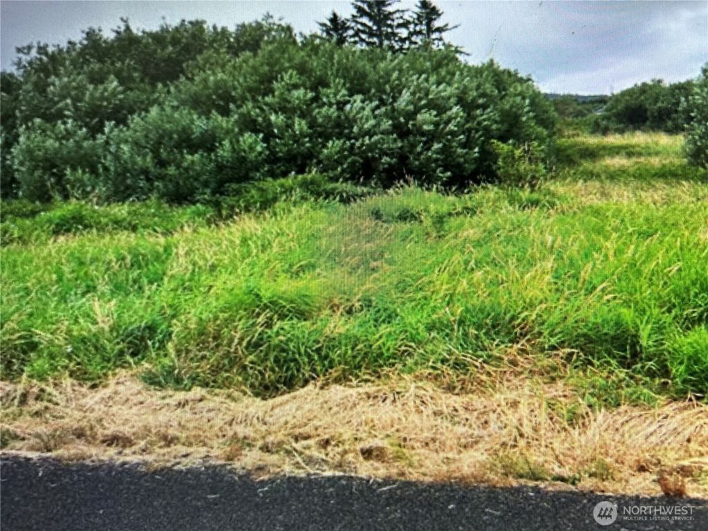 Photo of 258 Stringtown Road, Ilwaco, WA 98624 (MLS # 2486780)