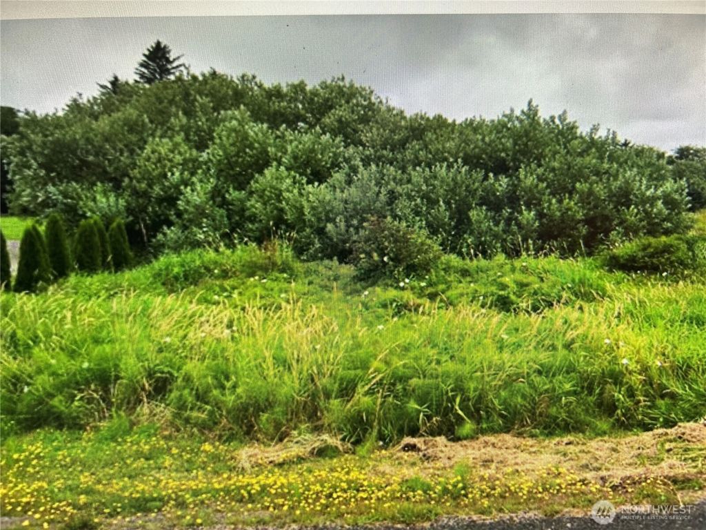 Photo of 258 Stringtown Road, Ilwaco, WA 98624 (MLS # 2486780)