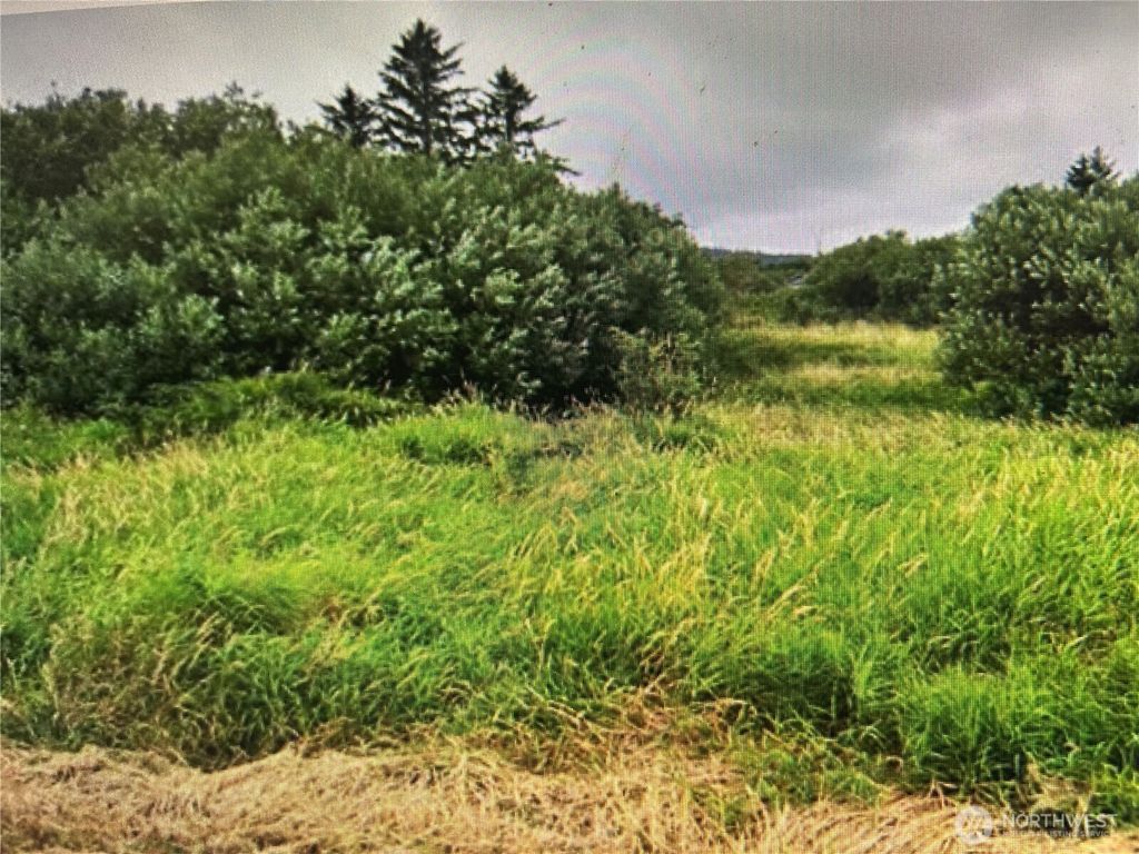 Photo of 258 Stringtown Road, Ilwaco, WA 98624 (MLS # 2486780)