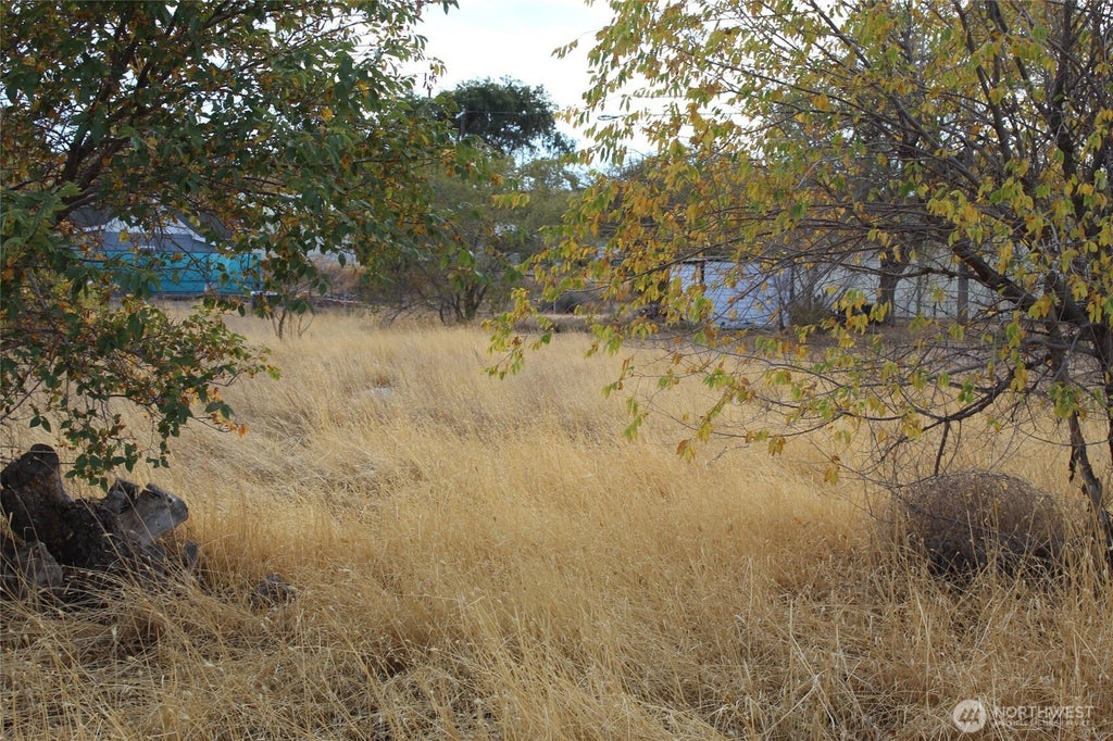 Photo of 0 W Main Street, Lind, WA 99122 (MLS # 2591230)