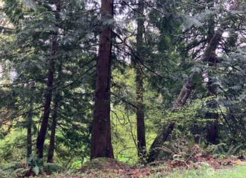 Photo of 0 D Street, Bellingham, WA 98225 (MLS # 2497731)