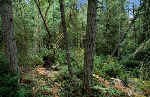 11106 Spruce Dr Anderson Island WA 98303