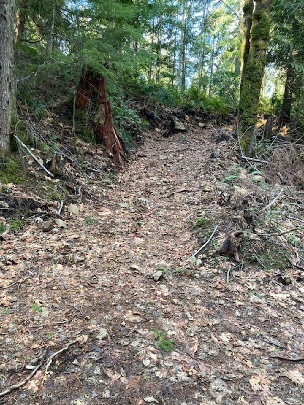Photo of 0 N Dow Ridge, Hoodsport, WA 98548 (MLS # 2529126)