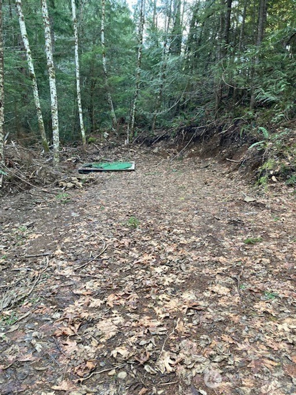 Photo of 0 N Dow Ridge, Hoodsport, WA 98548 (MLS # 2529126)