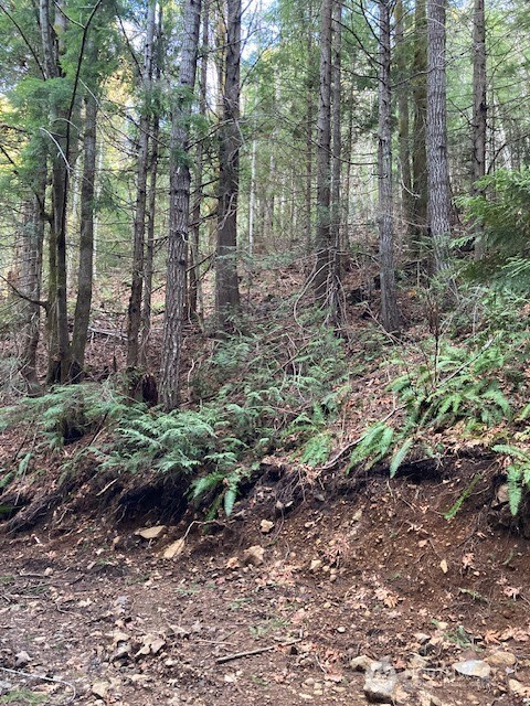0 N Dow Ridge