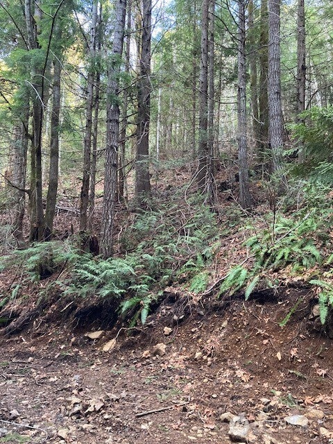 0 N Dow Ridge