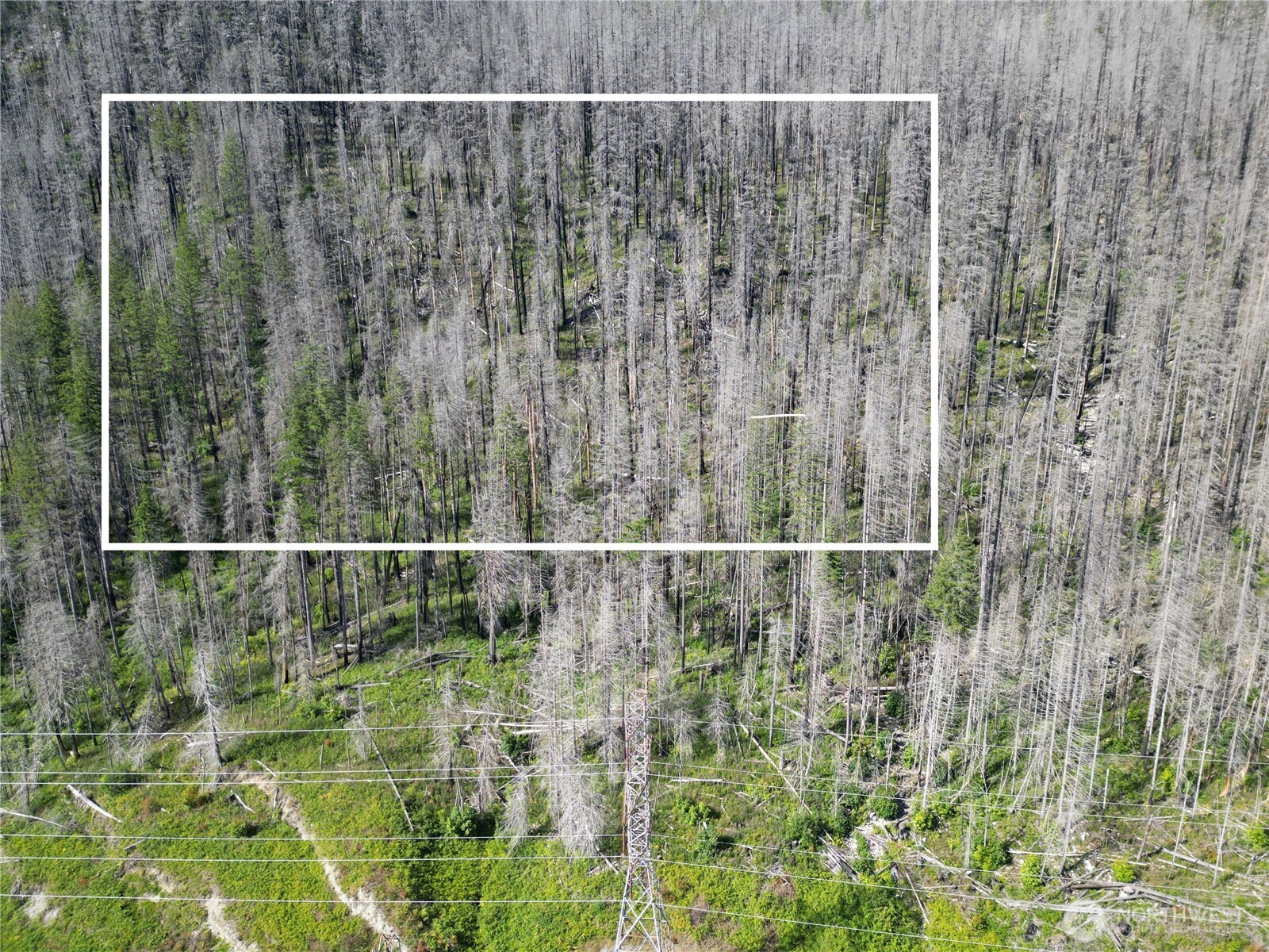 0 Skykomish Woods