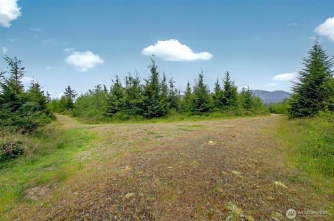 Photo of 5 Parpala Road #5, Naselle, WA 98638 (MLS # 2376885)